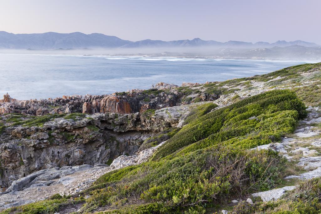 Whalesong Lodge Gansbaai Esterno foto