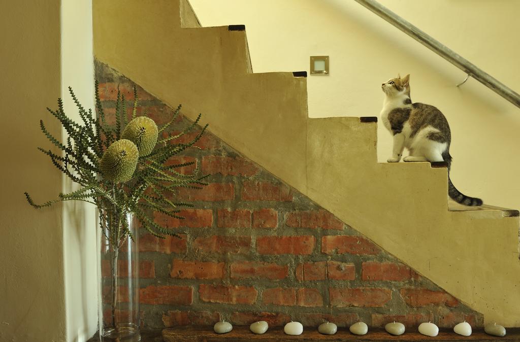 Whalesong Lodge Gansbaai Esterno foto
