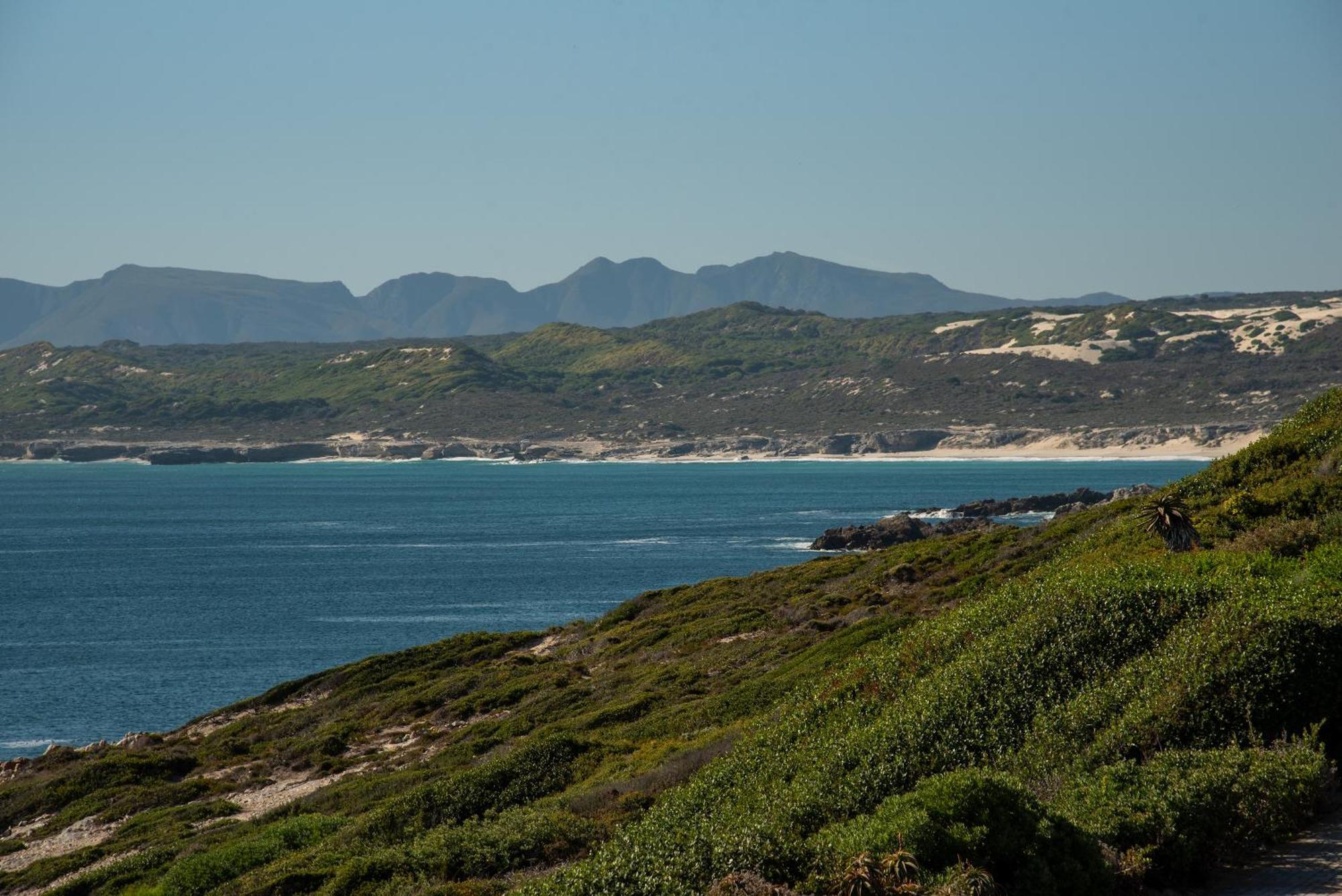Whalesong Lodge Gansbaai Esterno foto