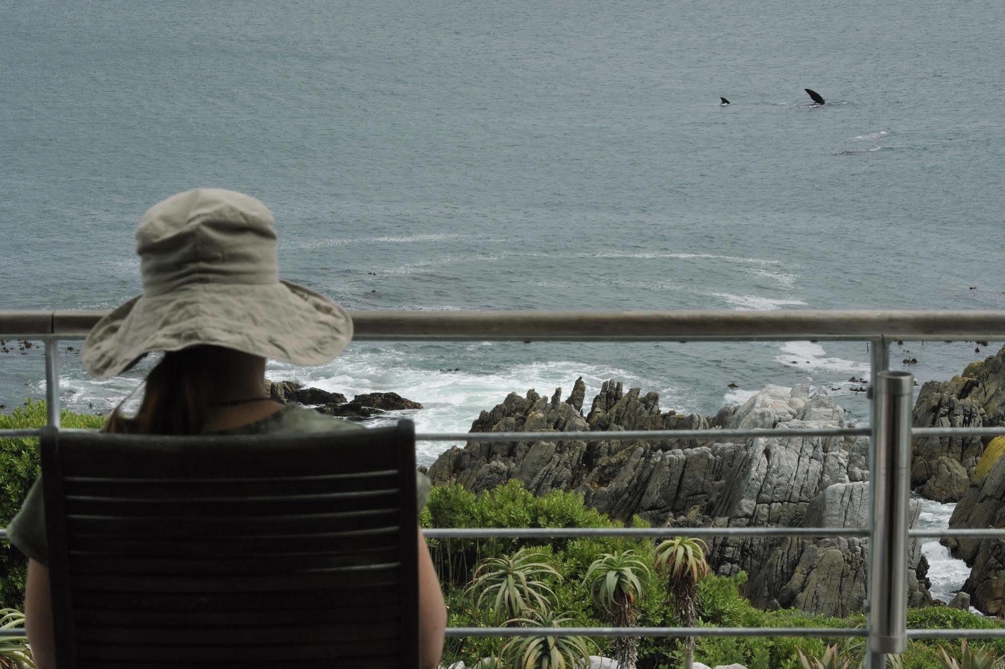 Whalesong Lodge Gansbaai Esterno foto